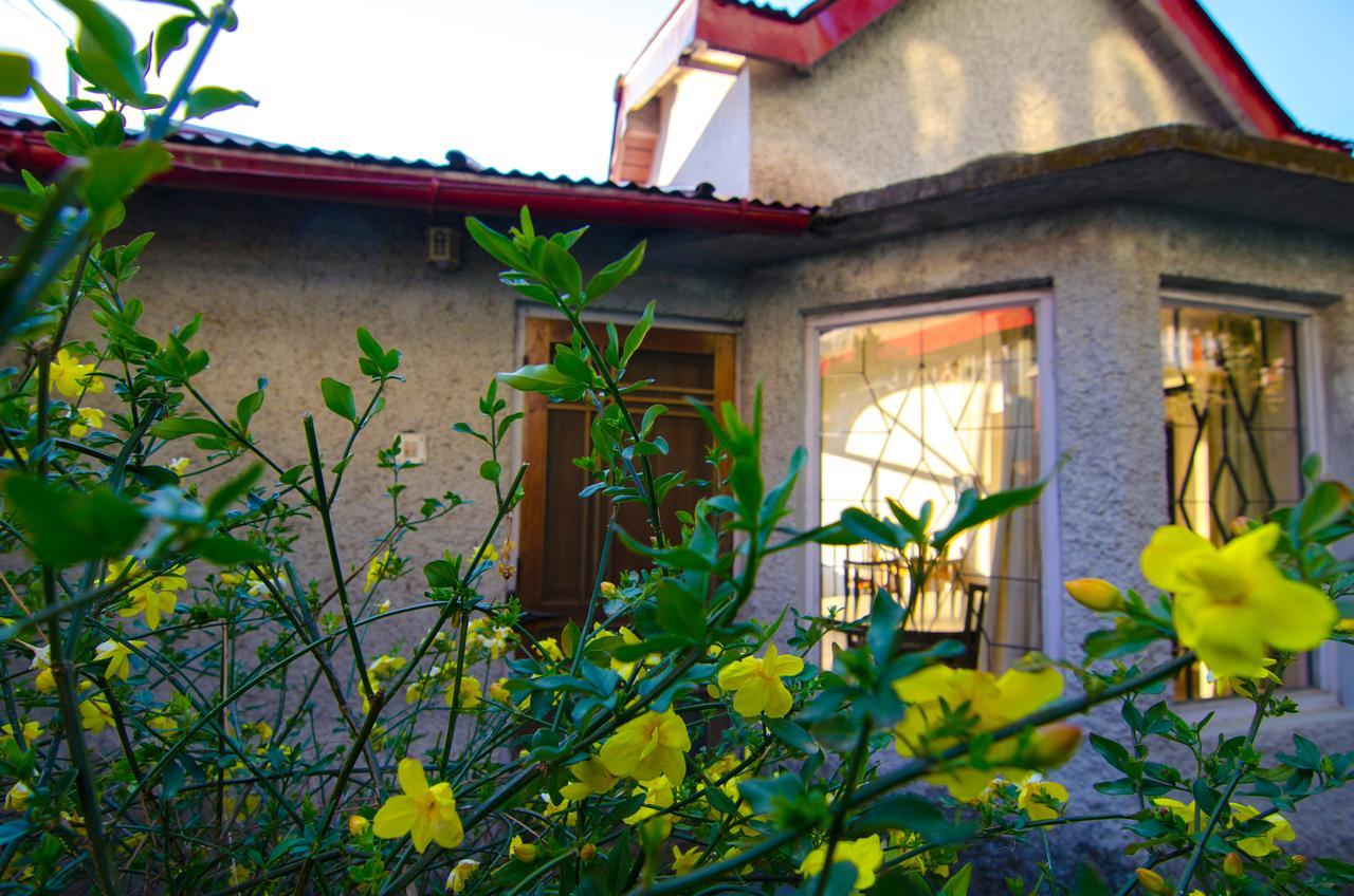 Open View Estate Βίλα Ranikhet Εξωτερικό φωτογραφία